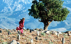 A scene from 'The Wind Will Carry Us'