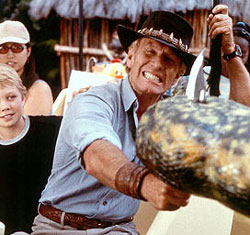 A scene from 'Crocodile Dundee in LA'