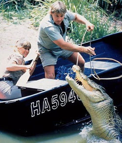 A scene from 'The Crocodile Hunter: Collision Course'