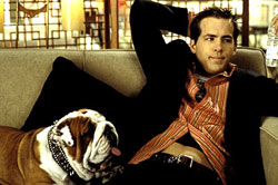 A scene from 'Van Wilder'