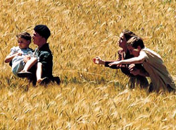 A scene from 'Strayed'