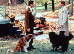 A scene from 'Dog Park'